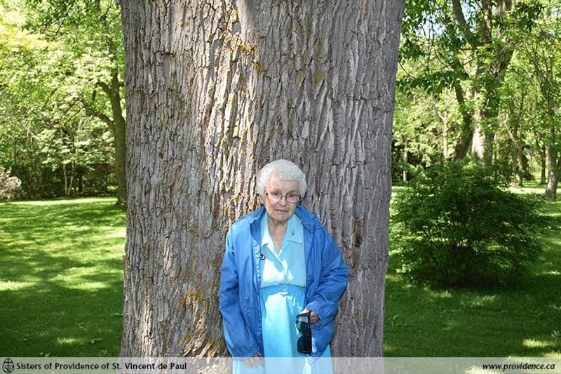 Sister Anna Moran, special tree (Motherhouse grounds) - 20160609 - 000_800px